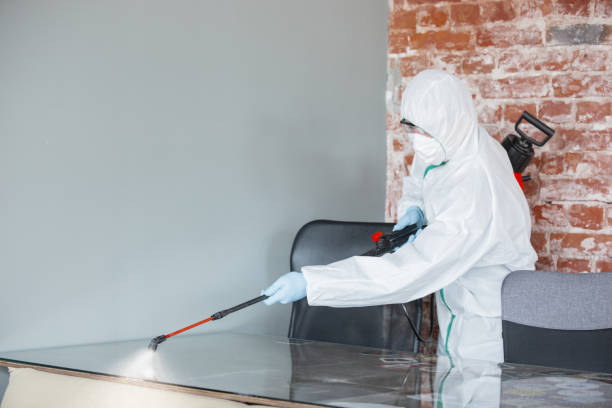 Asbestos and Lead Testing During Mold Inspection in Brandywine Bay, NC